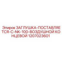 1207023601 ЗАГЛУШКА-ПОСТАВЛЯЕТСЯ-С-NK-100-ВОЗДУШНОЙ КОНЦЕВОЙ Epiroc
