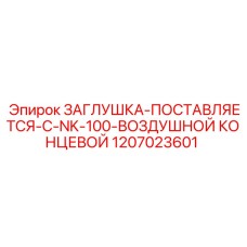 1207023601 ЗАГЛУШКА-ПОСТАВЛЯЕТСЯ-С-NK-100-ВОЗДУШНОЙ КОНЦЕВОЙ Epiroc