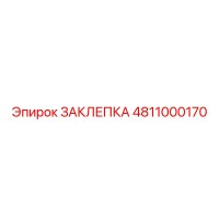 4811000170 ЗАКЛЕПКА Epiroc