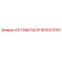 1615370101 ОСТАВАТЬСЯ Epiroc