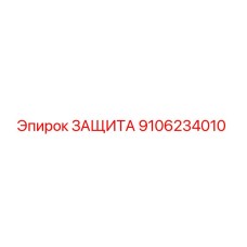 9106234010 ЗАЩИТА (Epiroc)