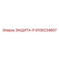 9106234807 ЗАЩИТА-Р (Epiroc)