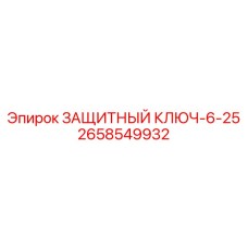 2658549932 ZASHCHITNY KLUCH-6-25 Epiroc