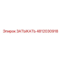 4812030918 ЗАТЫКАТЬ Epiroc
