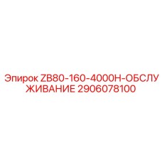 2906078100 ZB80-160-4000H-ОБСЛУЖИВАНИЕ Epiroc