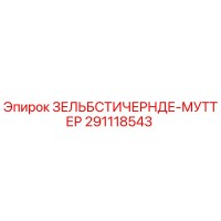 291118543 ЗЕЛЬБСТИЧЕРНДЕ-МУТТЕР Epiroc