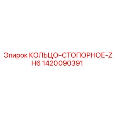 1420090391 КОЛЬЦО-СТОПОРНОЕ-ZH6 Epiroc