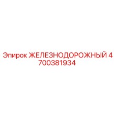 4700381934 ЖЕЛЕЗНОДОРОЖНЫЙ (Epiroc)