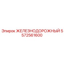 5572561600 ЖЕЛЕЗНОДОРОЖНЫЙ Epiroc
