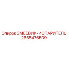 2658476509 ЗМЕЕВИК-ИСПАРИТЕЛЬ Epiroc