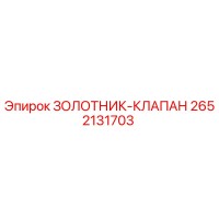 2652131703 ЗОЛОТНИК-КЛАПАН Epiroc