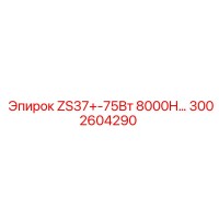 3002604290 ZS37+-75Вт 8000H Epiroc