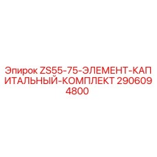 2906094800 ZS55-75-ЭЛЕМЕНТ-КАПИТАЛЬНЫЙ-КОМПЛЕКТ Epiroc