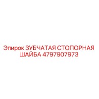 4797907973 ЗУБЧАТАЯ СТОПОРНАЯ ШАЙБА Epiroc