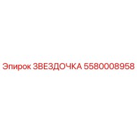 5580008958 ЗВЕЗДОЧКА Epiroc