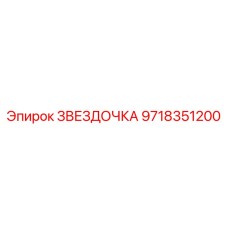 9718351200 ЗВЕЗДОЧКА Epiroc