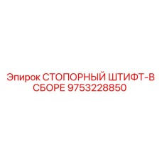 9753228850 СТОПОРНЫЙ ШТИФТ-В СБОРЕ Epiroc