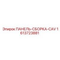 1613723881 ПАНЕЛЬ-СБОРКА-CAV Epiroc