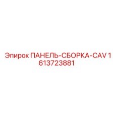1613723881 ПАНЕЛЬ-СБОРКА-CAV Epiroc