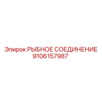 9106157987 РЫБНОЕ СОЕДИНЕНИЕ Epiroc