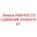 9106157987 РЫБНОЕ СОЕДИНЕНИЕ Epiroc