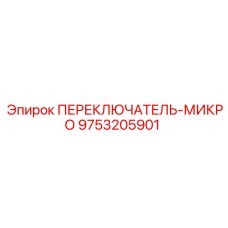 9753205901 ПЕРЕКЛЮЧАТЕЛЬ-МИКРО Epiroc