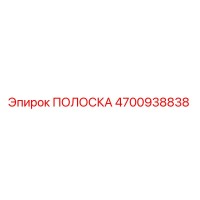 4700938838 ПОЛОСКА Epiroc