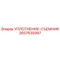 2657635997 УПЛОТНЕНИЕ-СЪЕМНИК Эпирок (Epiroc)