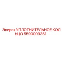 5590009351 УПЛОТНИТЕЛЬНОЕ КОЛЬЦО Epiroc