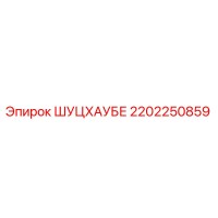 2202250859 ШУЦХАУБЕ Epiroc