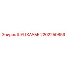 2202250859 ШУЦХАУБЕ Epiroc