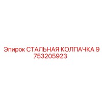 9753205923 СТАЛЬНАЯ КОЛПАЧКА Epiroc