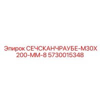 5730015348 СЕЧСКАНЧРАУБЕ-M30X200-MM-8 by Epiroc