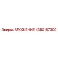 4350187300 ВЛОЖЕНИЕ Epiroc