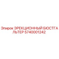 5740001242 ЭРЕКЦИОННЫЙ БЮСТГАЛЬТЕР Epiroc