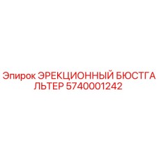 5740001242 ЭРЕКЦИОННЫЙ БЮСТГАЛЬТЕР Epiroc
