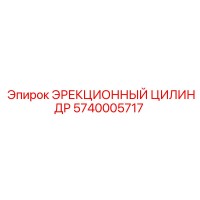 5740005717 ЭРЕКЦИОННЫЙ ЦИЛИНДР Epiroc