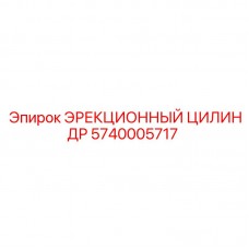 5740005717 ЭРЕКЦИОННЫЙ ЦИЛИНДР Epiroc