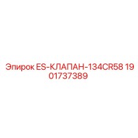 1901737389 ES-КЛАПАН-134CR58 Epiroc