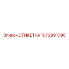 1079991096 ЭТИКЕТКА Epiroc
