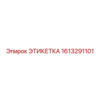 1613291101 ЭТИКЕТКА Epiroc