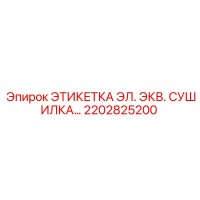 2202825200 ЭТИКЕТКА ЭЛ. ЭКВ. СУШИЛКА… Epiroc