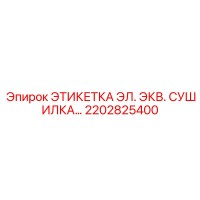 2202825400 ЭТИКЕТКА ЭЛ. ЭКВ. СУШИЛКА… Epiroc