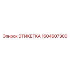 1604607300 ЭТИКЕТКА Epiroc