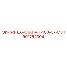 1901762304 EX-КЛАПАН-100-C-R73 | Epiroc