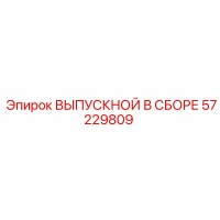 57229809 ВЫПУСКНОЙ В СБОРЕ Epiroc