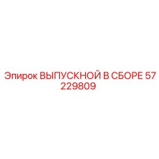 57229809 ВЫПУСКНОЙ В СБОРЕ Epiroc