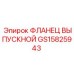 GS15825943 ФЛАНЕЦ ВЫПУСКНОЙ Эпирок