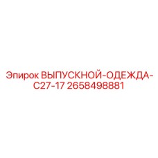 2658498881 ВЫПУСКНОЙ-ОДЕЖДА-C27-17 Epiroc