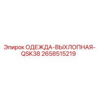 2658515219 ОДЕЖДА-ВЫХЛОПНАЯ-QSK38 Epiroc